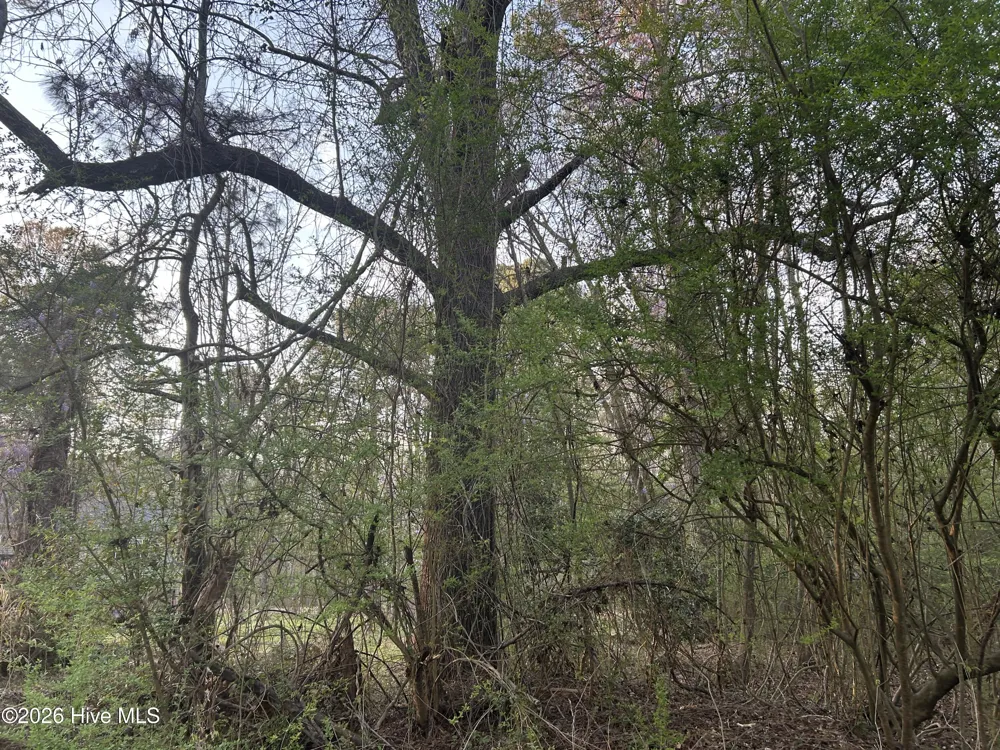 351 Burgaw Creek Loop Road Burgaw, NC 28425