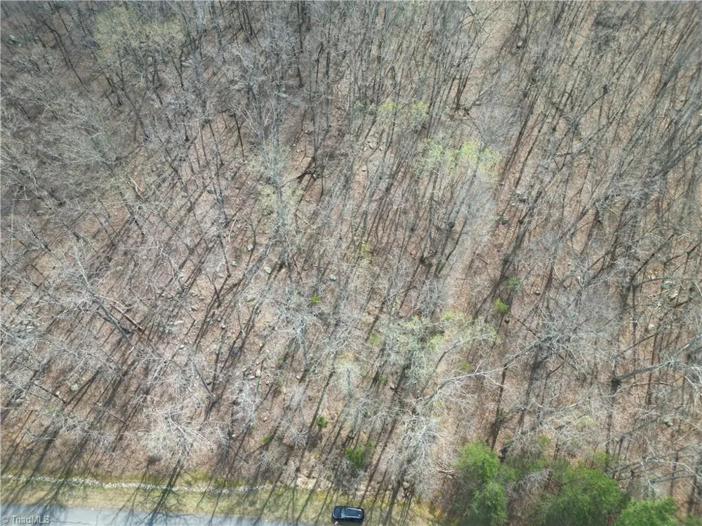 367 Rocky Cove Lane Denton, NC 27239