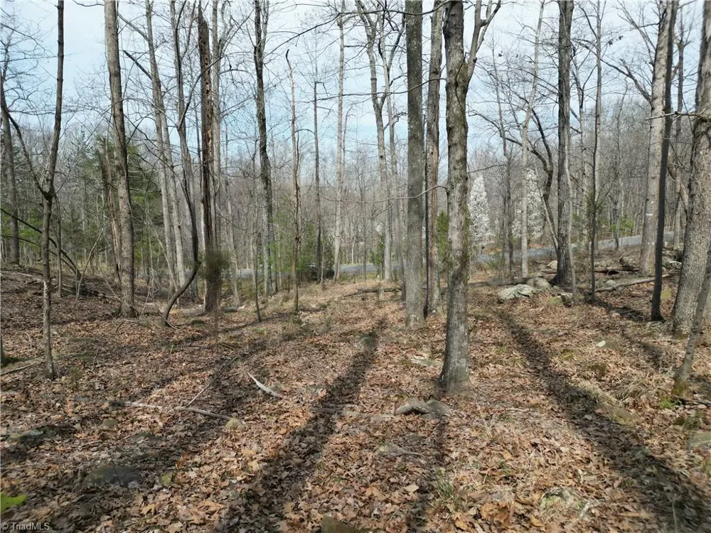 367 Rocky Cove Lane Denton, NC 27239