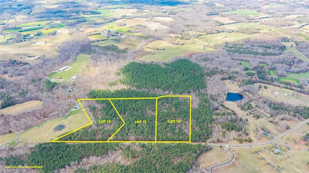 6 David Moore Road Burlington, NC 27217