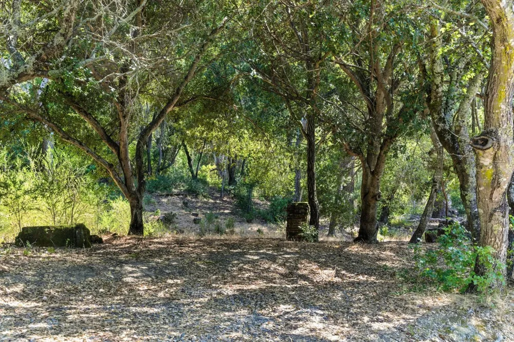 70 Oxford Drive San Rafael, CA 94903