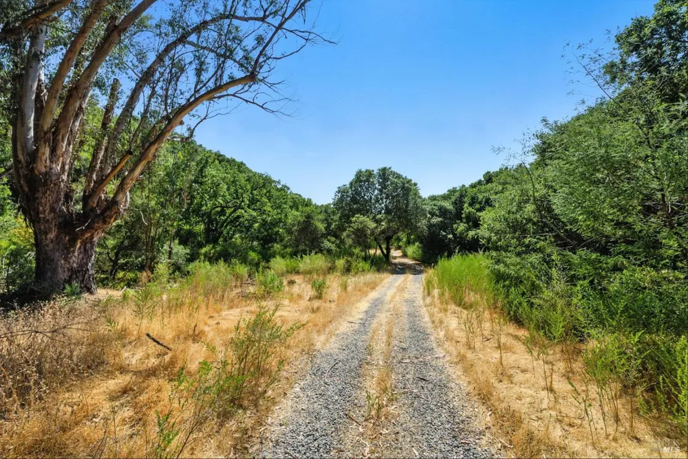 70 Oxford Drive San Rafael, CA 94903