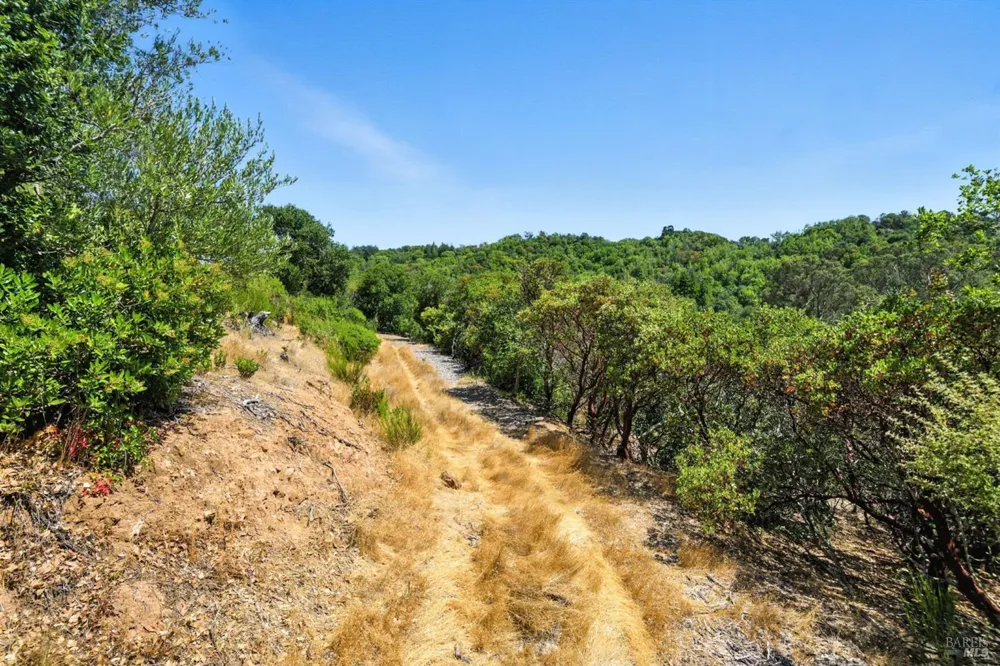70 Oxford Drive San Rafael, CA 94903