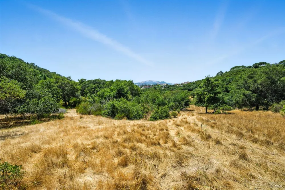 70 Oxford Drive San Rafael, CA 94903