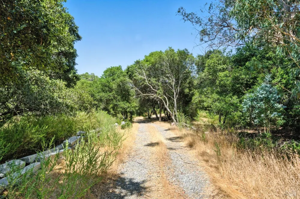70 Oxford Drive San Rafael, CA 94903