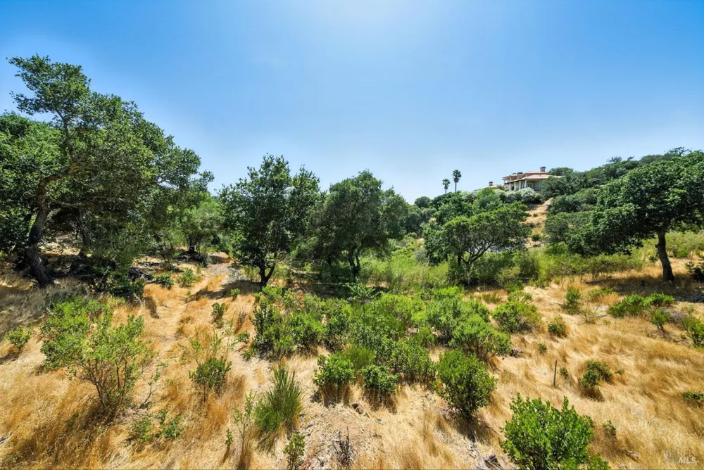 70 Oxford Drive San Rafael, CA 94903