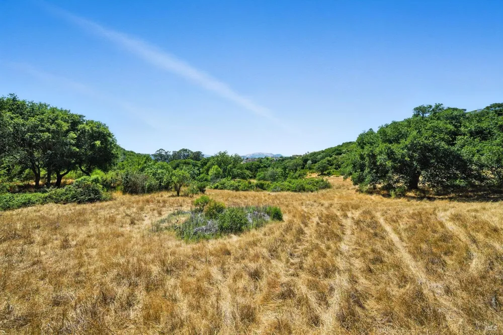 70 Oxford Drive San Rafael, CA 94903