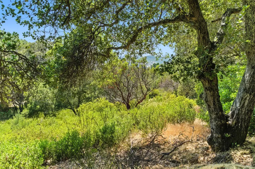 70 Oxford Drive San Rafael, CA 94903