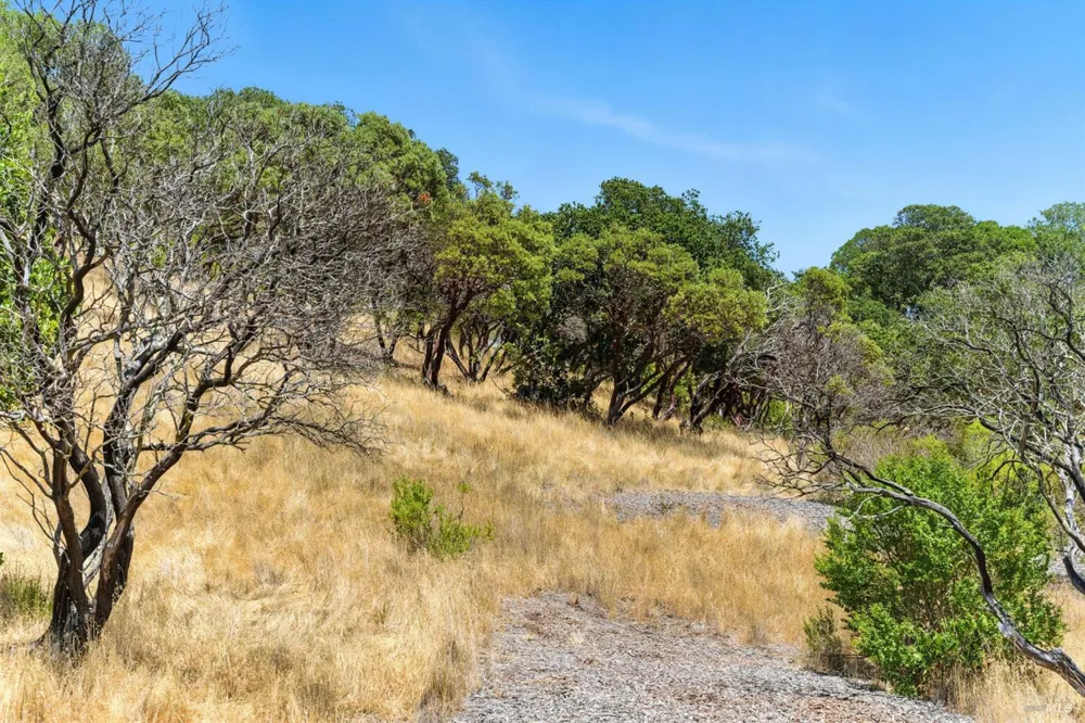 70 Oxford Drive San Rafael, CA 94903