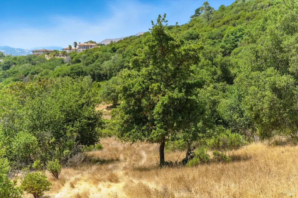 70 Oxford Drive San Rafael, CA 94903