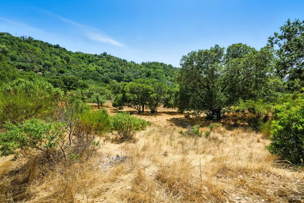 70 Oxford Drive San Rafael, CA 94903
