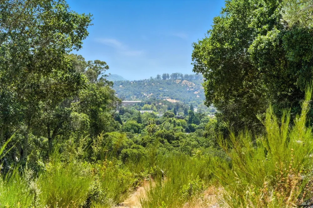 70 Oxford Drive San Rafael, CA 94903