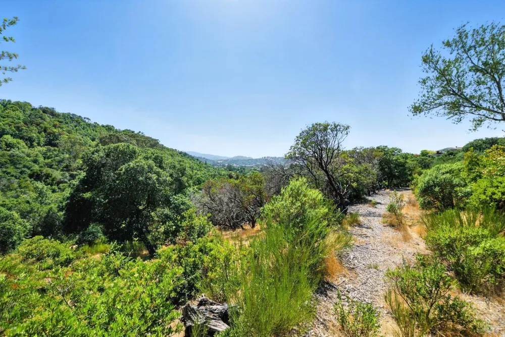 70 Oxford Drive San Rafael, CA 94903
