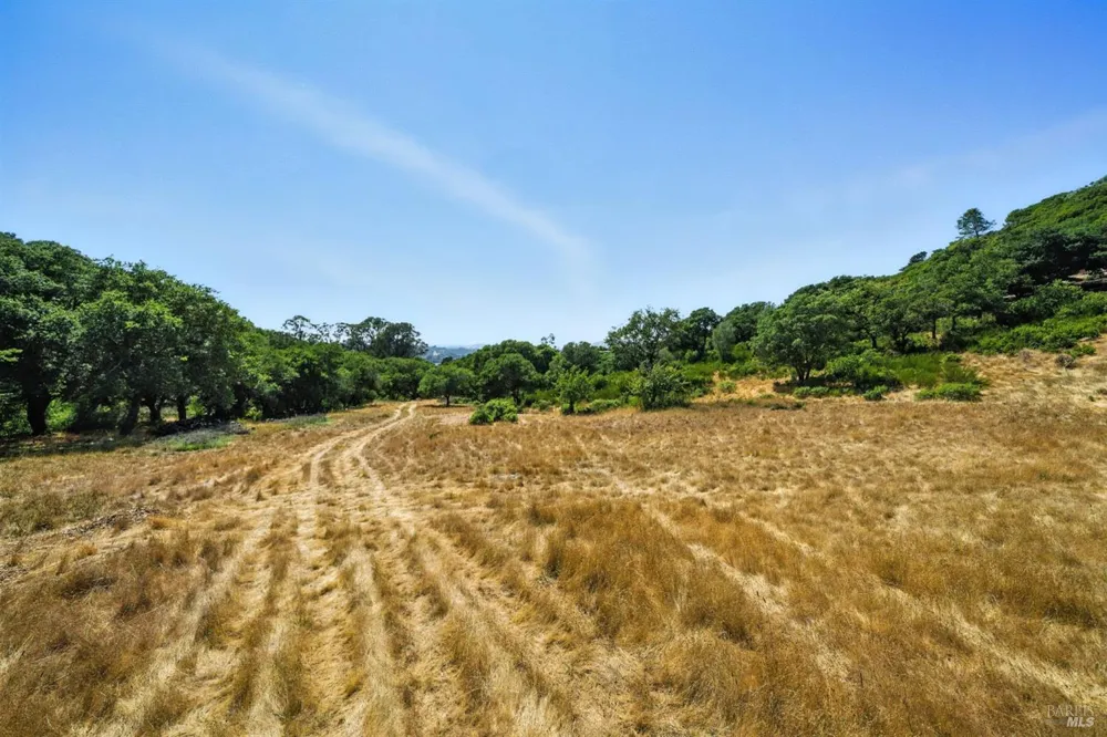 70 Oxford Drive San Rafael, CA 94903