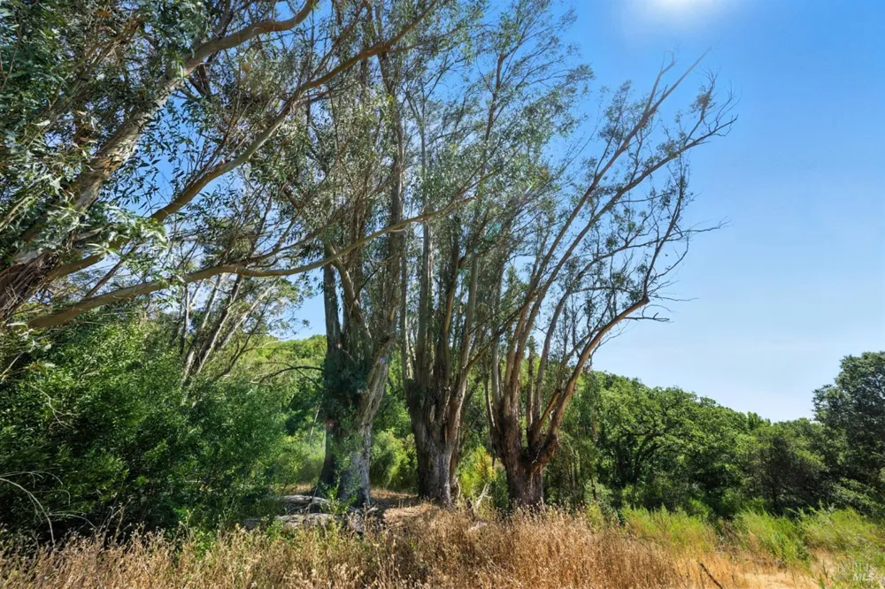 70 Oxford Drive San Rafael, CA 94903