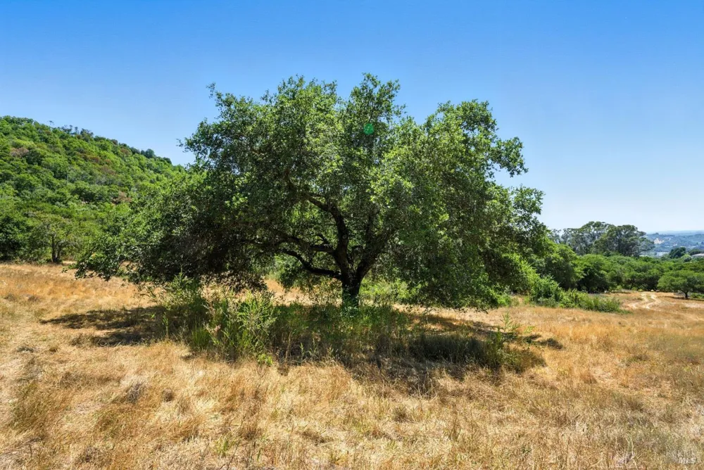70 Oxford Drive San Rafael, CA 94903