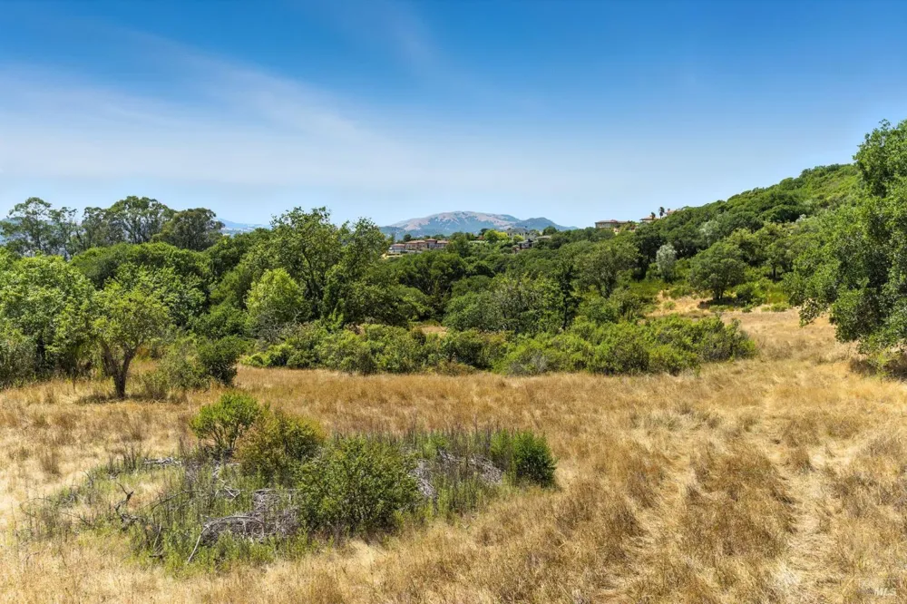 70 Oxford Drive San Rafael, CA 94903