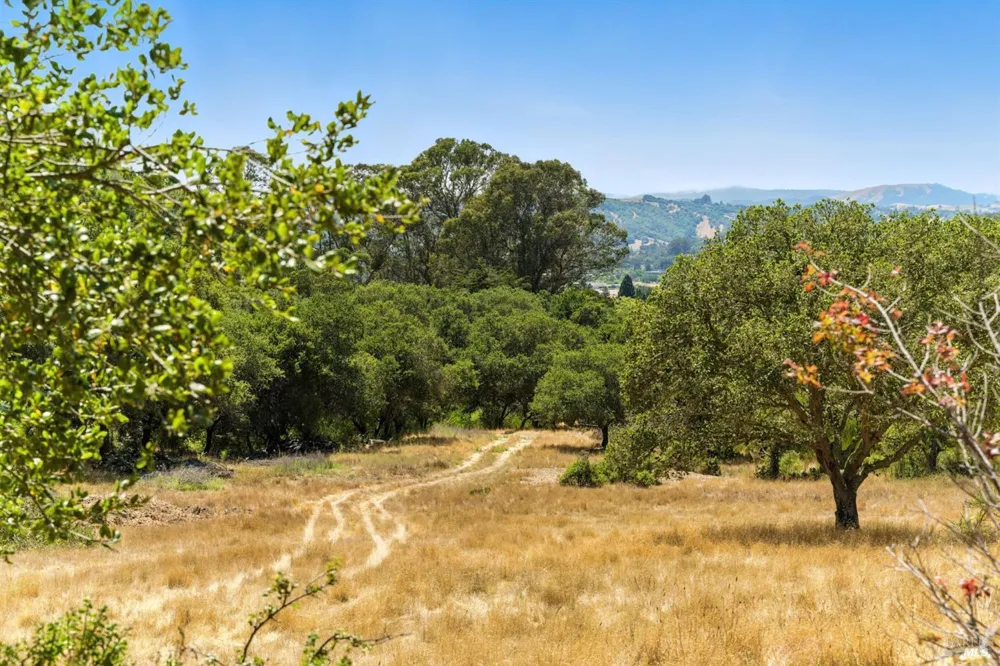 70 Oxford Drive San Rafael, CA 94903