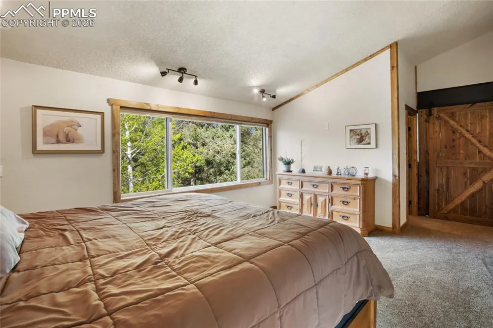 45 Barr Lake Circle Divide, CO 80814
