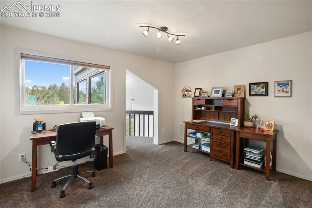 45 Barr Lake Circle Divide, CO 80814