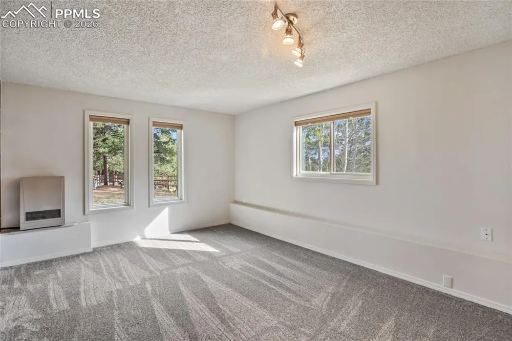 45 Barr Lake Circle Divide, CO 80814