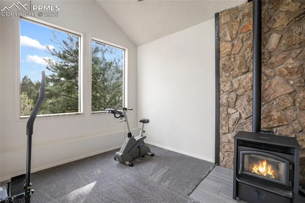 45 Barr Lake Circle Divide, CO 80814