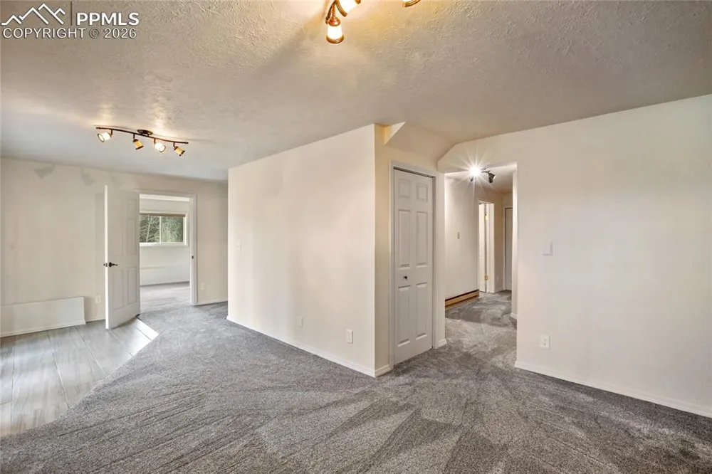 45 Barr Lake Circle Divide, CO 80814