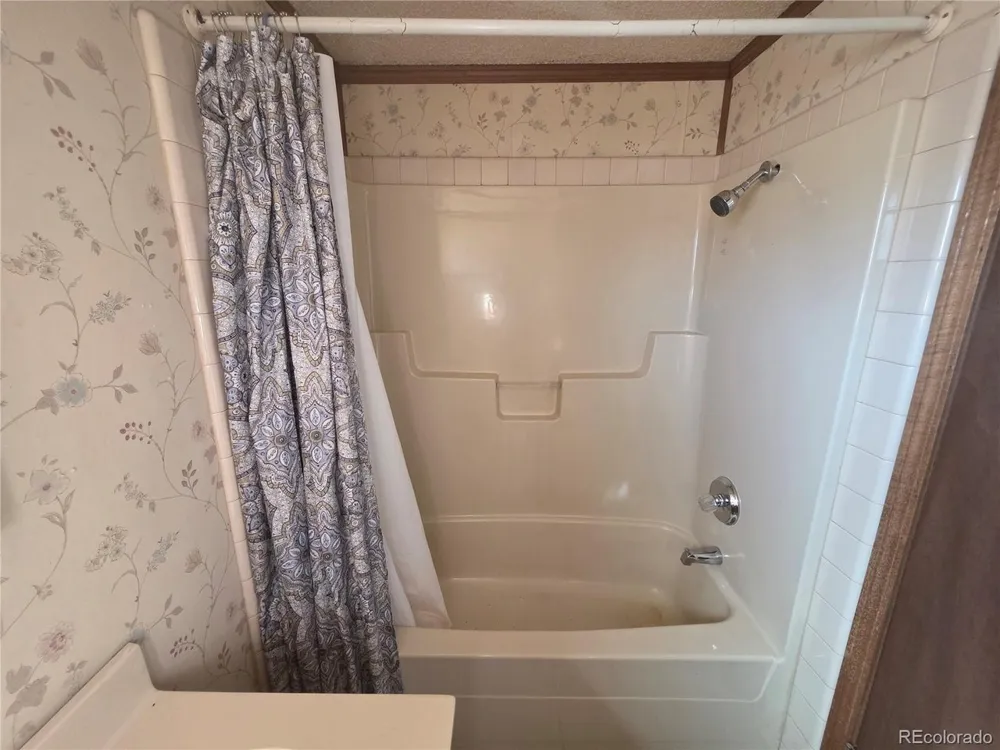 232 Arapahoe Road South Fork, CO 81154