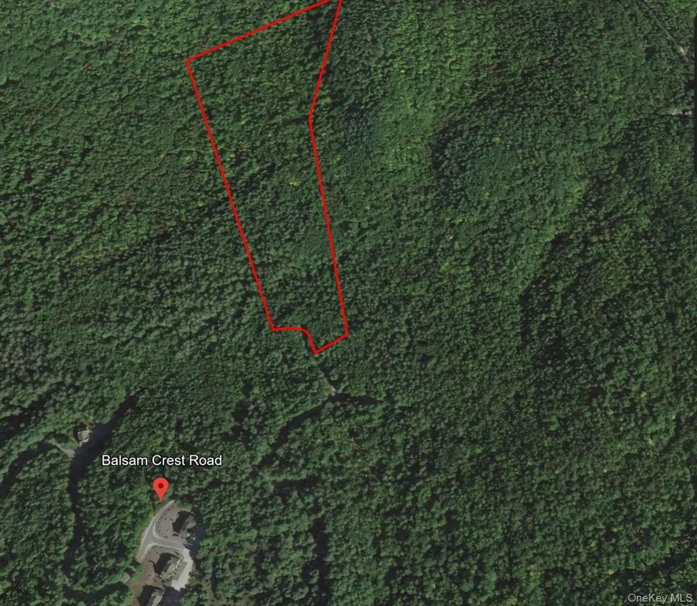 L173 Balsam Crest Road Call Listing Agent, NY 12817