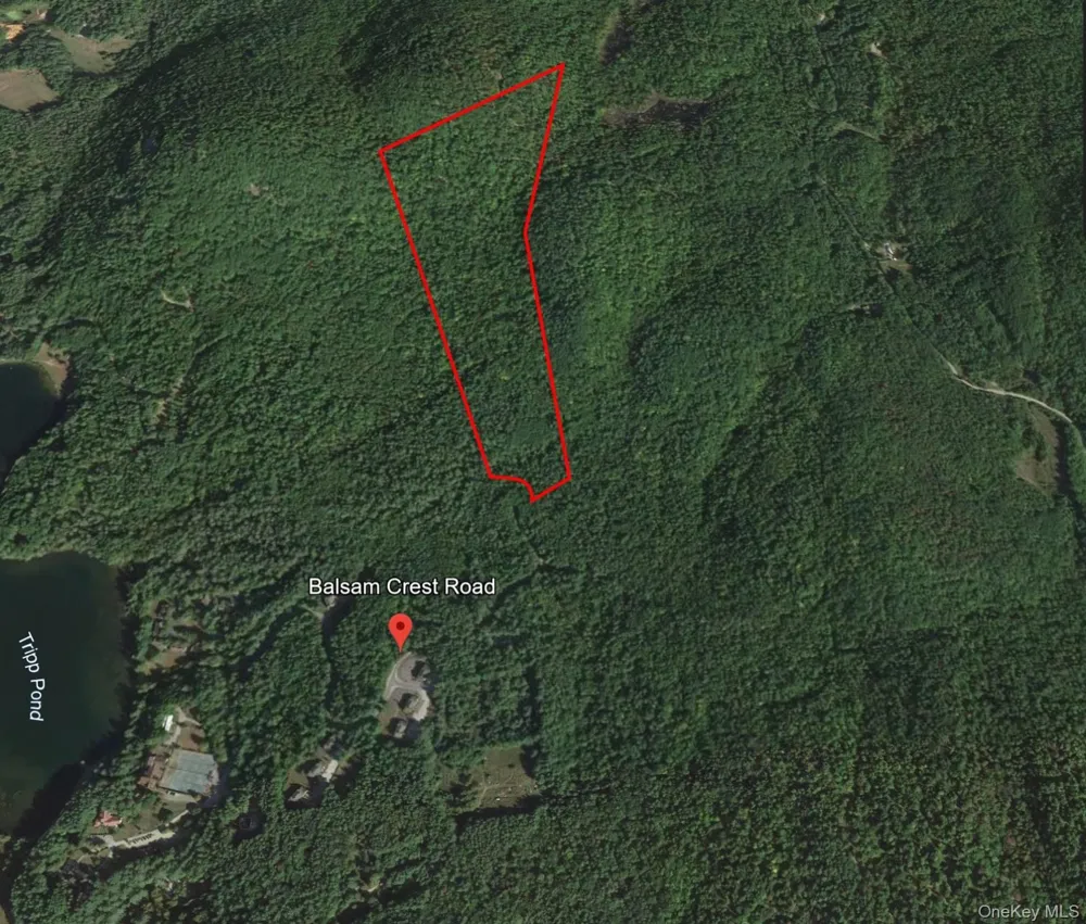 L173 Balsam Crest Road Call Listing Agent, NY 12817