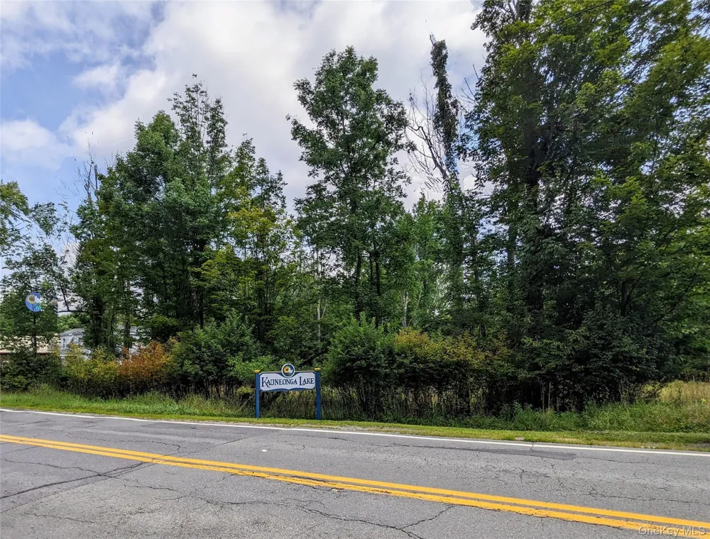 State Route 55 Kauneonga Lake, NY 12720
