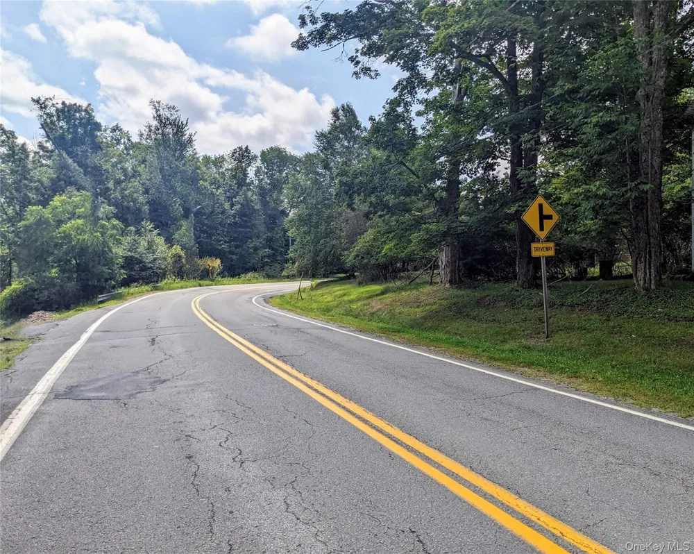 State Route 55 Kauneonga Lake, NY 12720