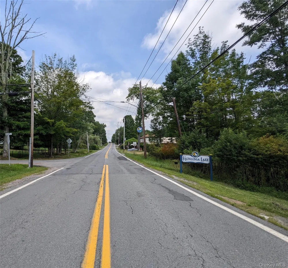 State Route 55 Kauneonga Lake, NY 12720