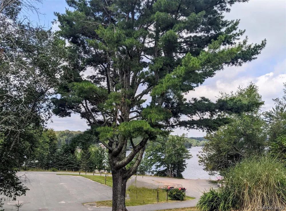 State Route 55 Kauneonga Lake, NY 12720