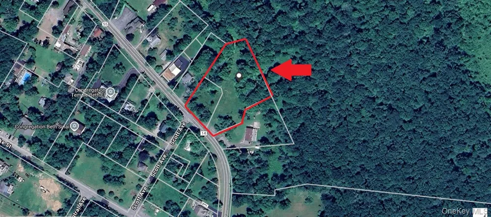 State Route 55 Kauneonga Lake, NY 12720