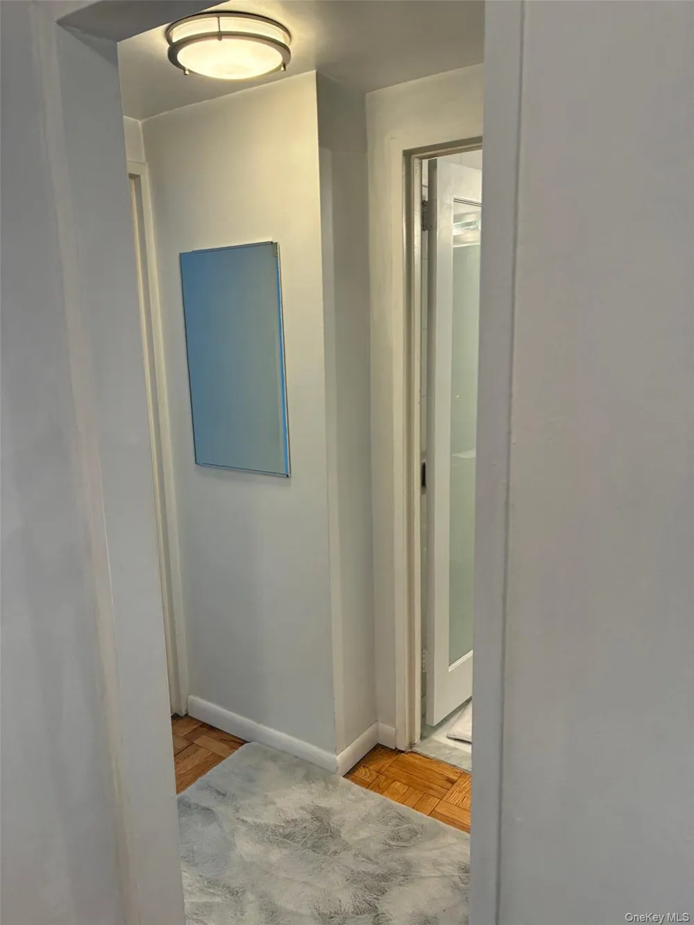 311 71st Street E #10A New York (Manhattan), NY 10021