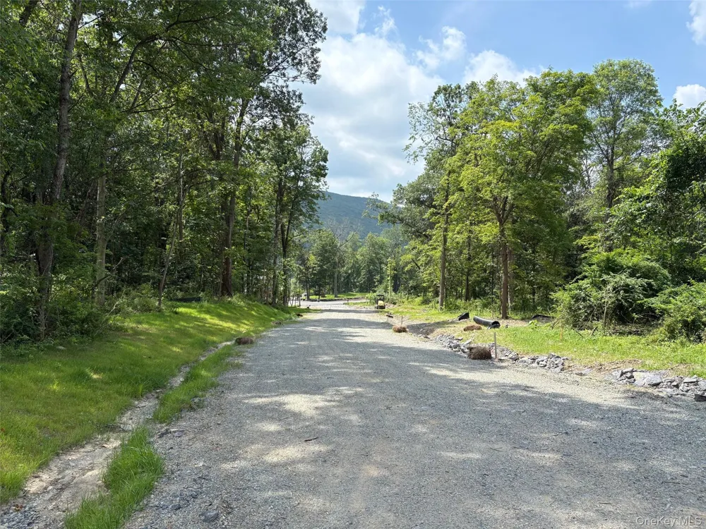 3 Rosewood Lane Salisbury Mills, NY 12577