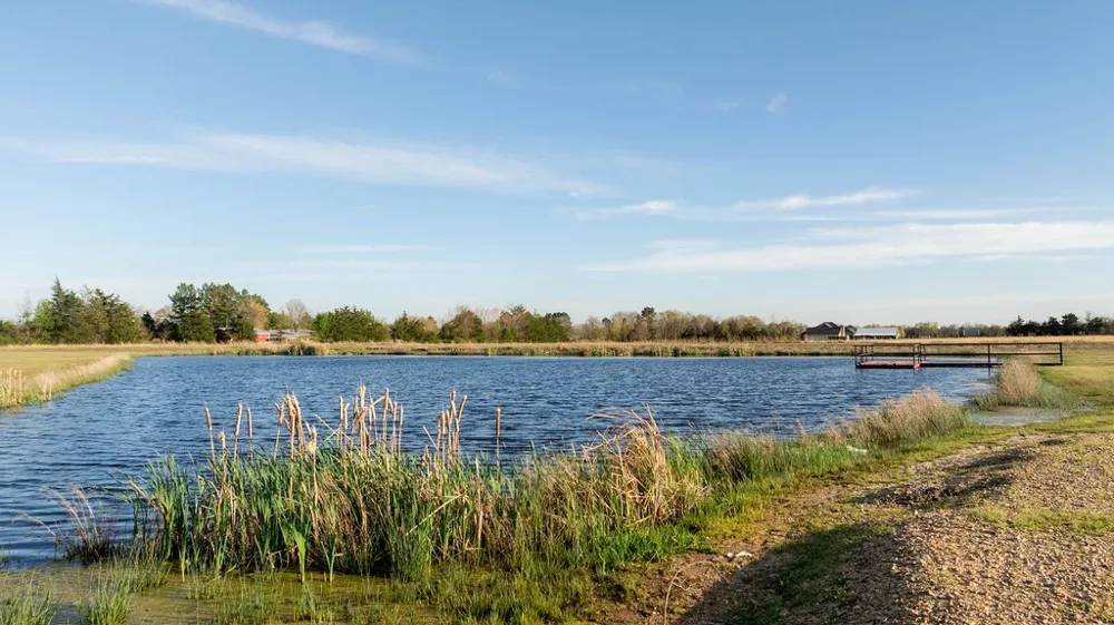 PR 33082 Sumner, TX 75486