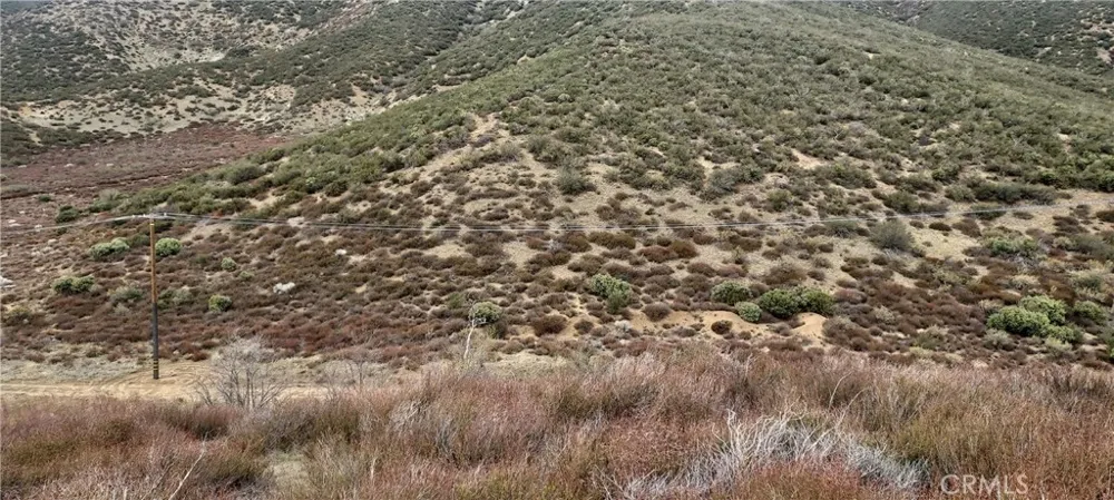 38351 Bouquet Canyon Road Leona Valley, CA 93551