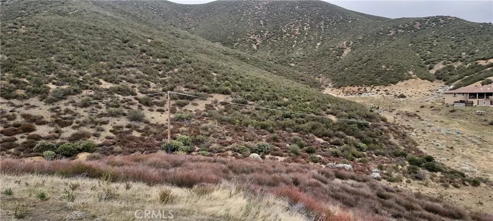 38351 Bouquet Canyon Road Leona Valley, CA 93551