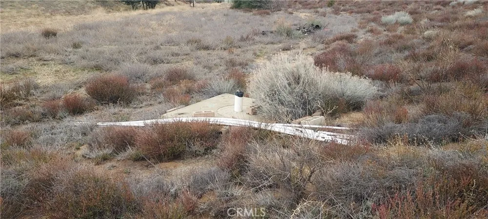 38351 Bouquet Canyon Road Leona Valley, CA 93551