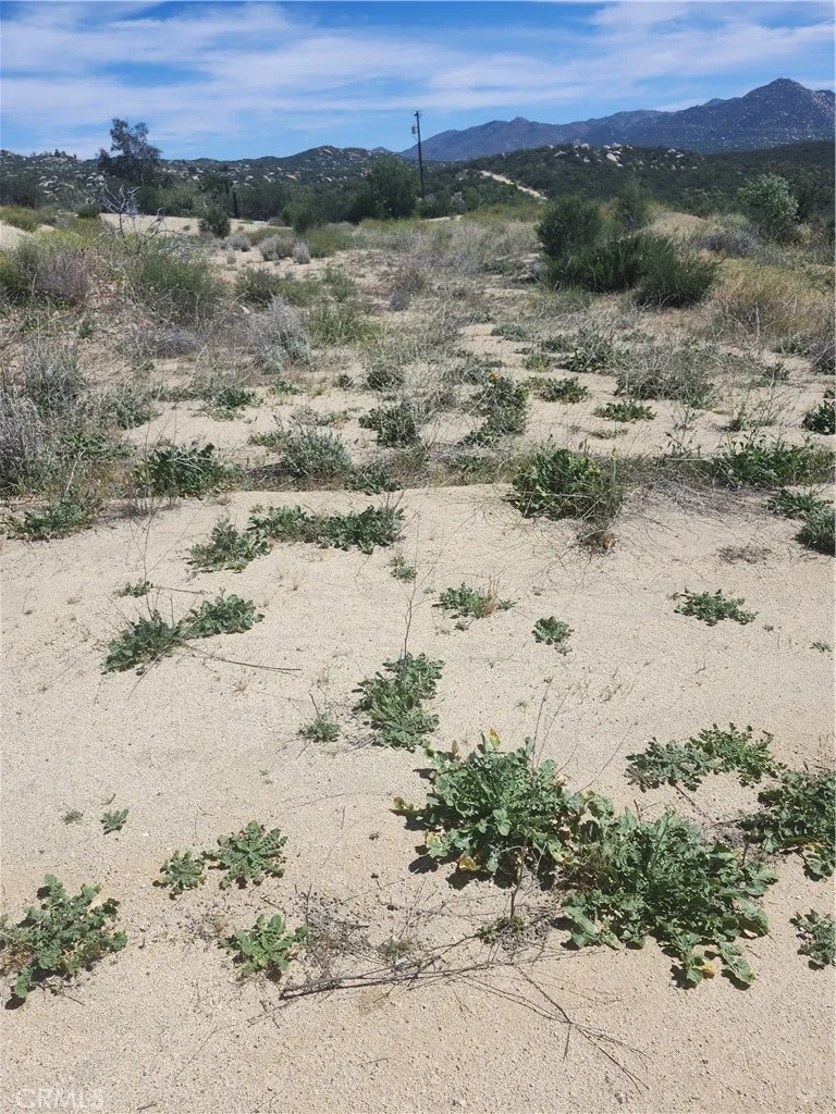 44401 Barbara Trail Aguanga, CA 92536