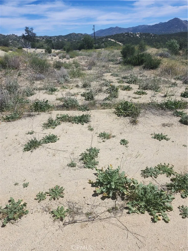 44401 Barbara Trail Aguanga, CA 92536