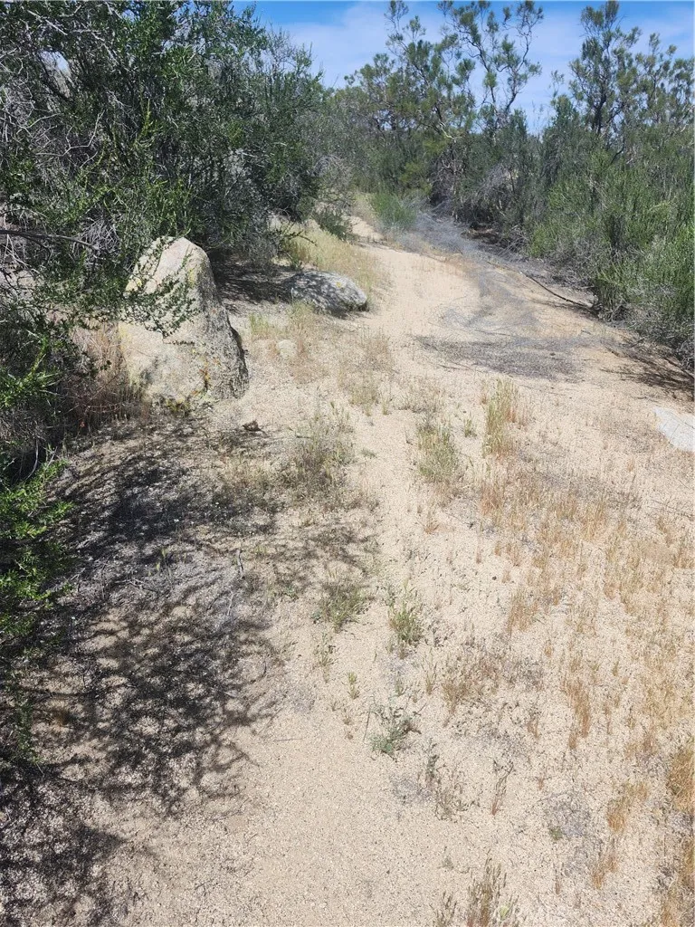 44401 Barbara Trail Aguanga, CA 92536
