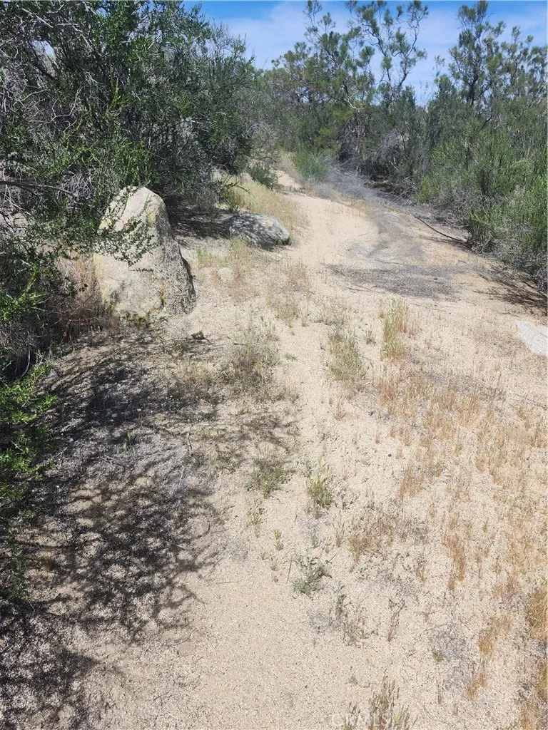 44401 Barbara Trail Aguanga, CA 92536