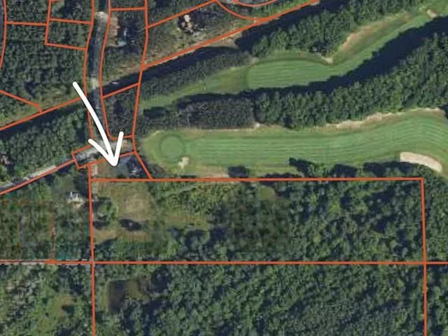 6994 Obervalden Drive Custer Township, MI 49615
