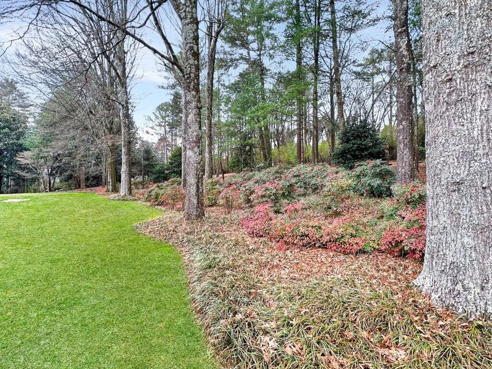 130 Apple Blossom Lane Summerville, GA 30747