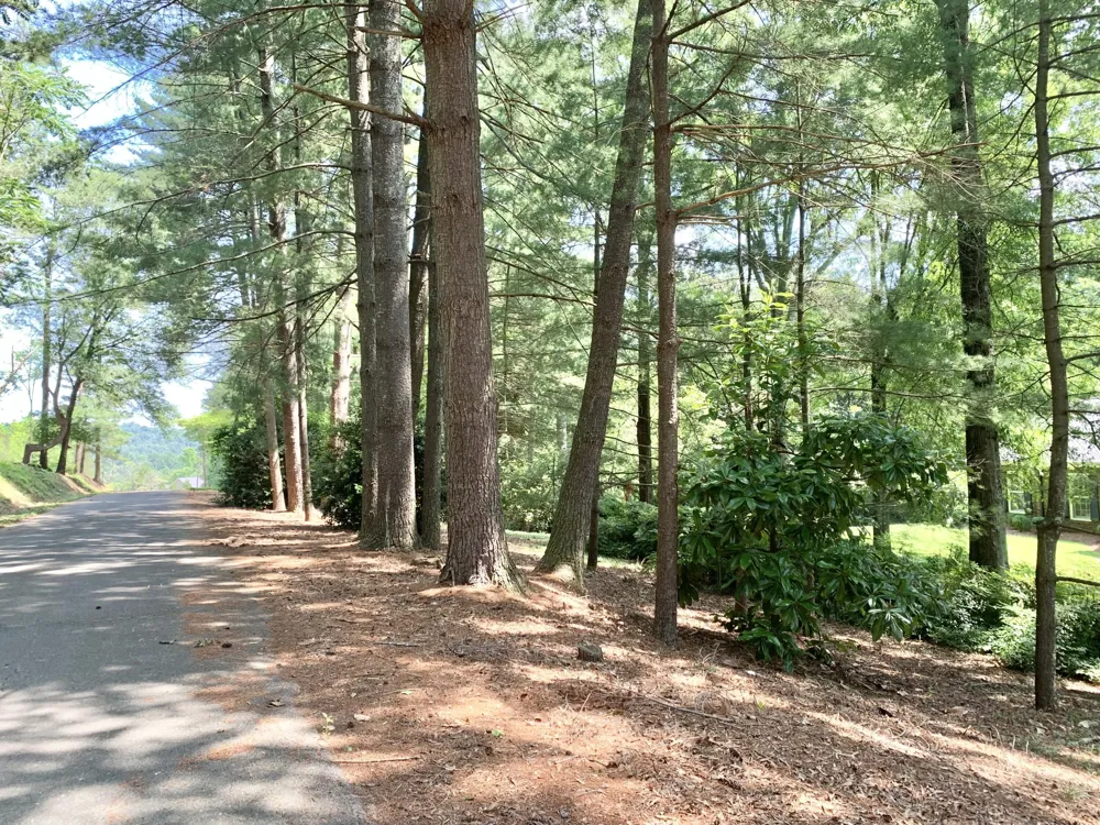 130 Apple Blossom Lane Summerville, GA 30747