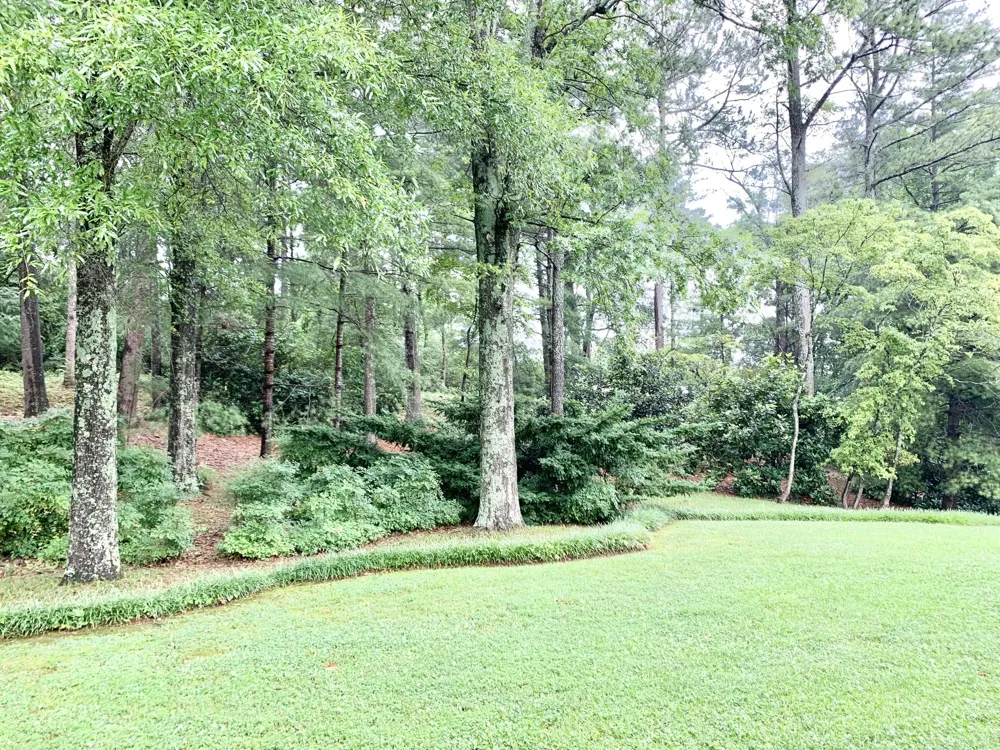 130 Apple Blossom Lane Summerville, GA 30747