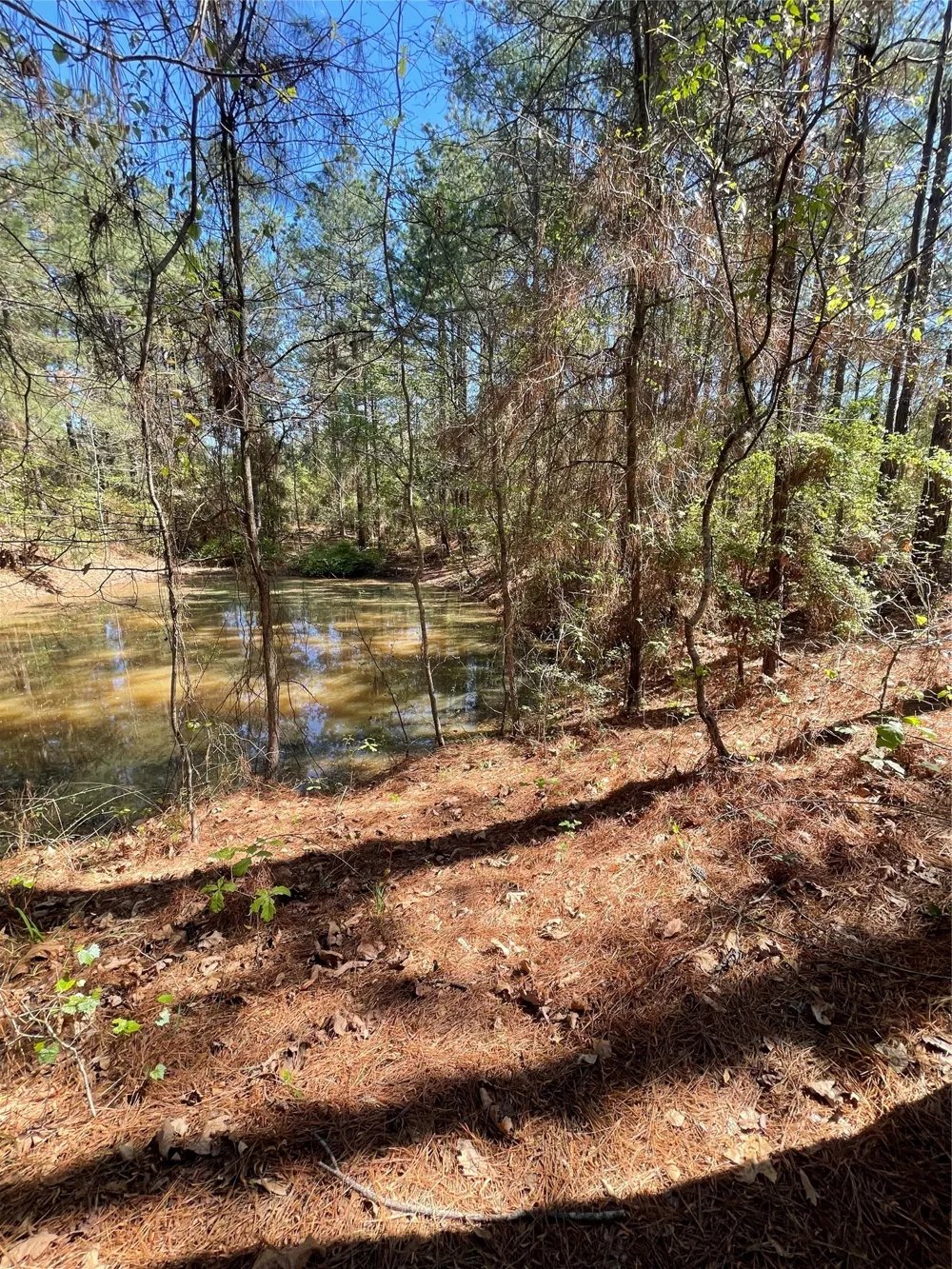 Providence Private Lane Frierson, LA 71027